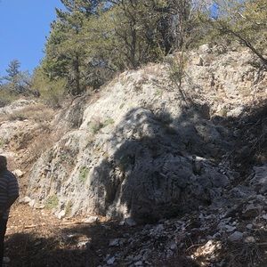 Meet your Posher, Tamara